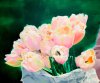 Dinja's Tulpen